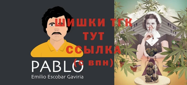 винт Лабытнанги