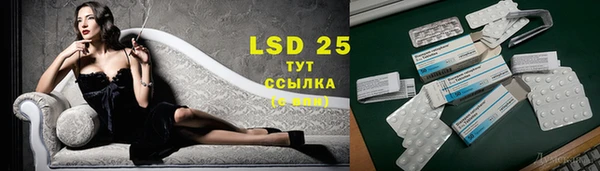 винт Лабытнанги