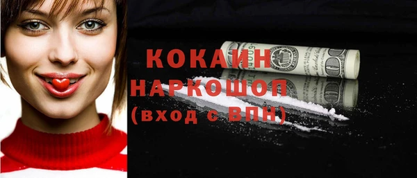 винт Лабытнанги