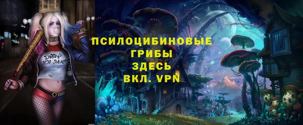 спиды Ладушкин