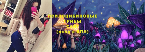 спиды Ладушкин