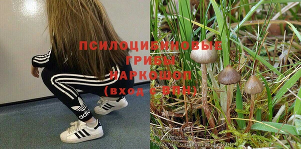 винт Лабытнанги