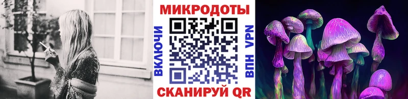 магазин продажи   MEGA как зайти  Галлюциногенные грибы GOLDEN TEACHER  Чекалин 